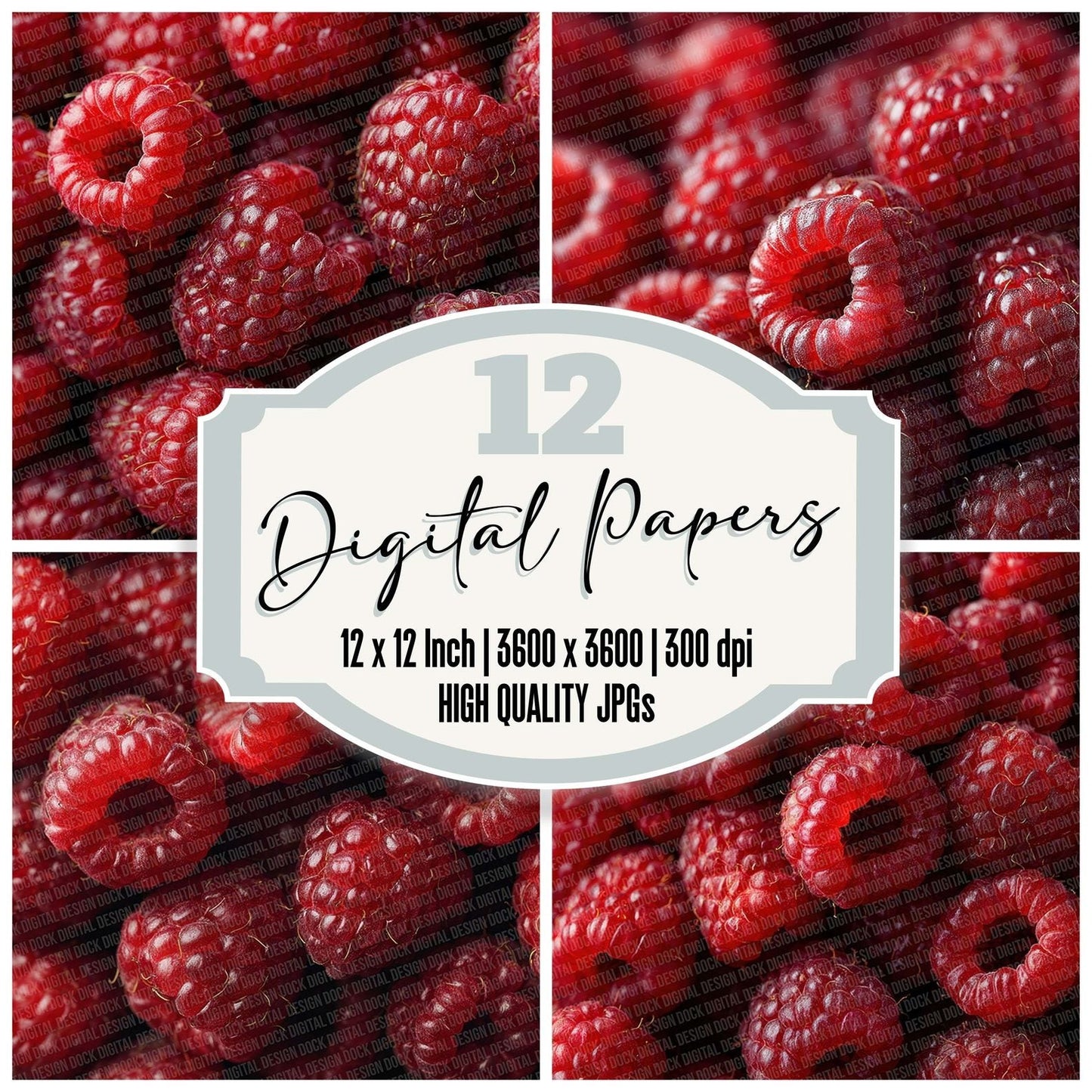 Raspberry Overhead Fill Digital Paper Pack (DDD003165)