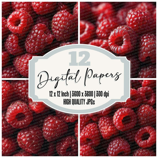 Raspberry Overhead Fill Digital Paper Pack (DDD003165)