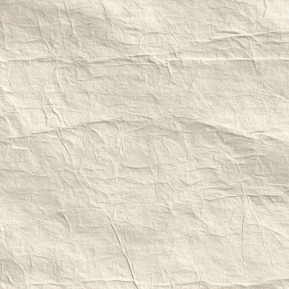 Receipt Paper Texture Digital Paper Pack (DDD008180)