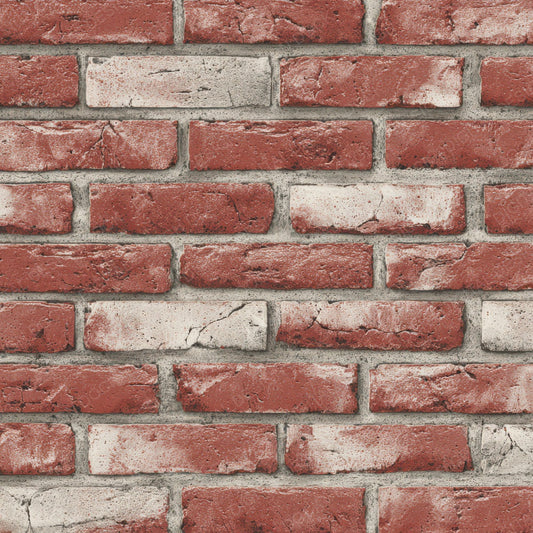 Red Brick Wall Digital Paper Pack (DDD008140)