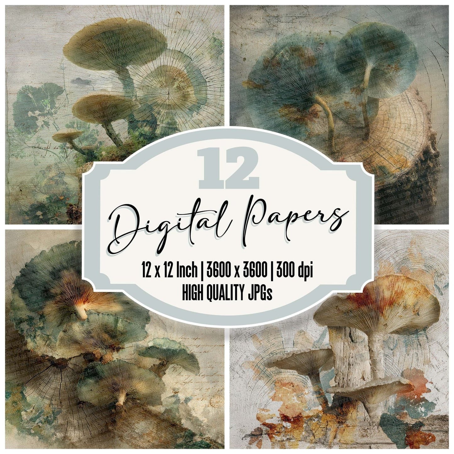 Ring Spore Study Digital Paper Pack (DDD003234)