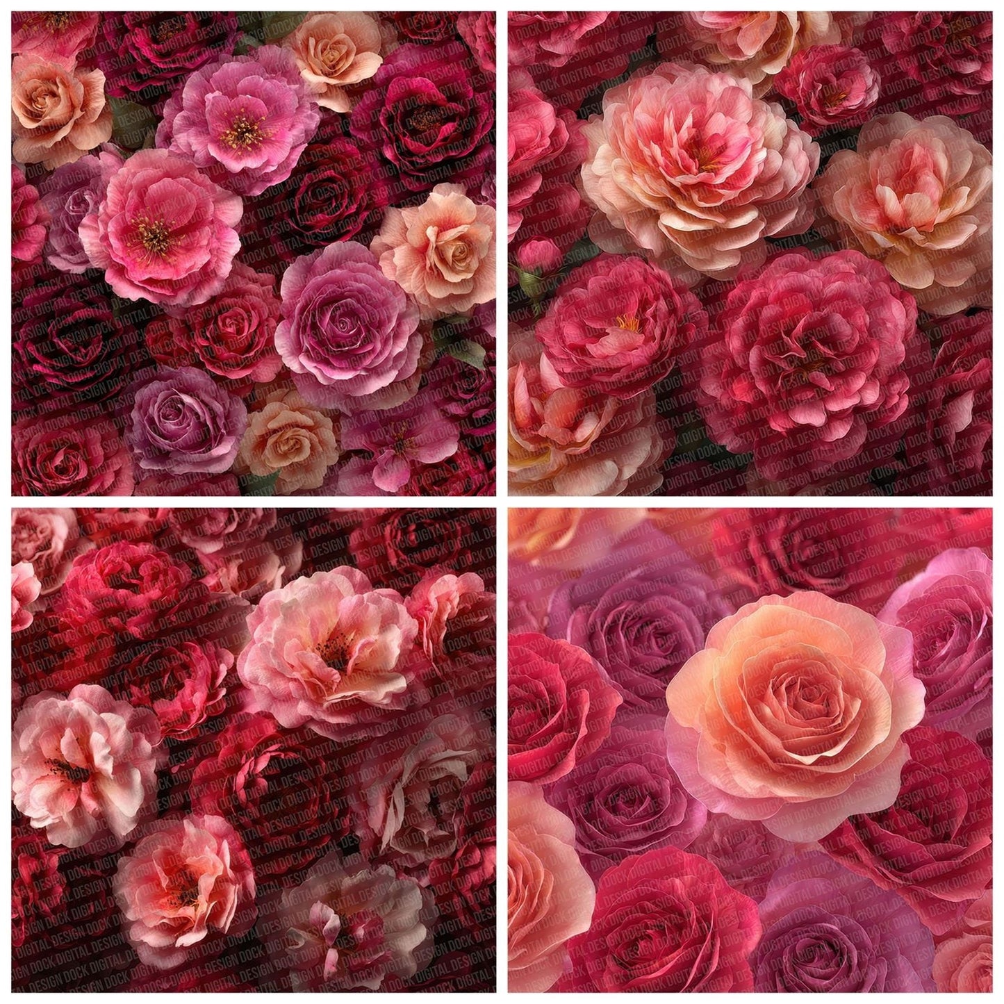 Rose Bloom Overhead Fill Digital Paper Pack (DDD003260)