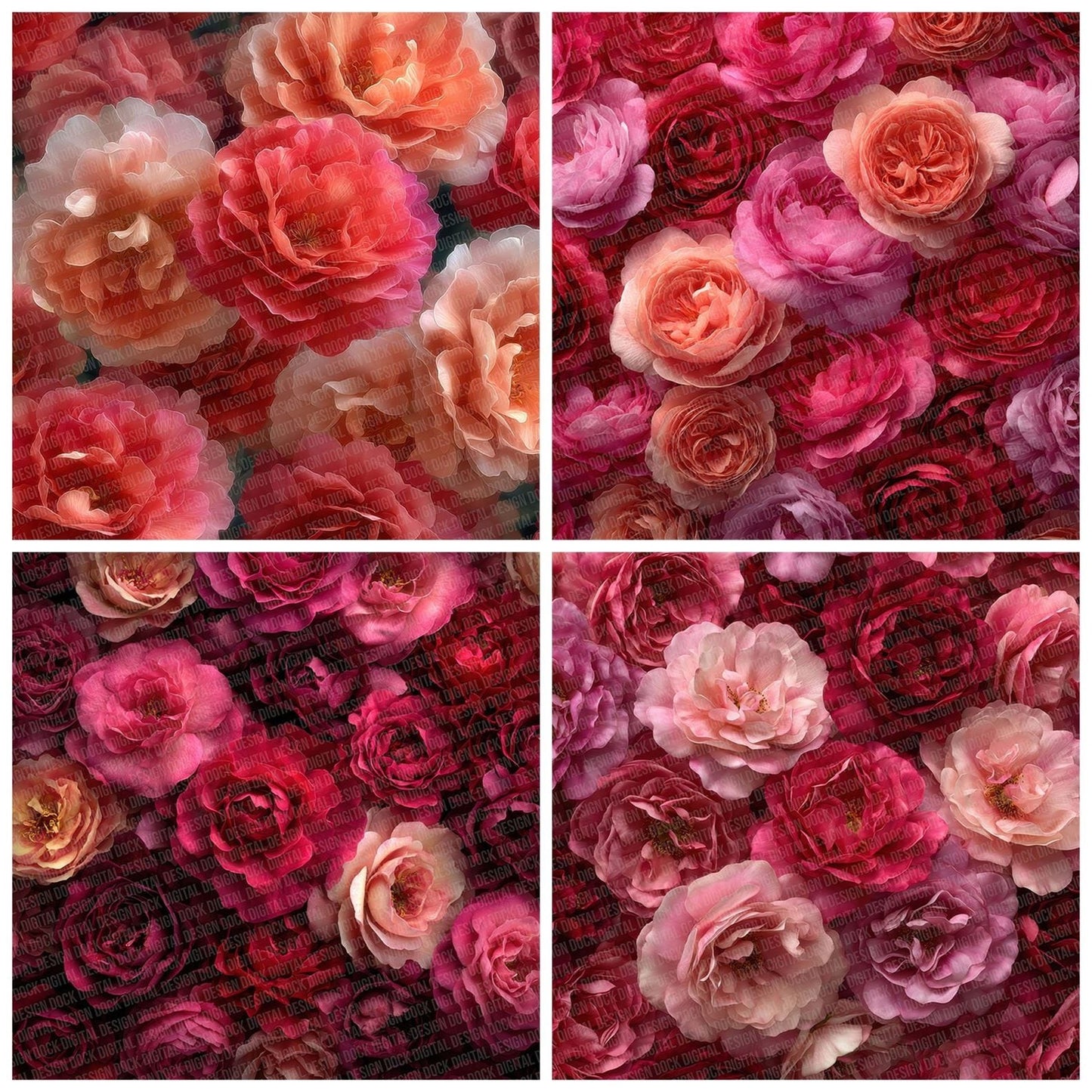 Rose Bloom Overhead Fill Digital Paper Pack (DDD003260)