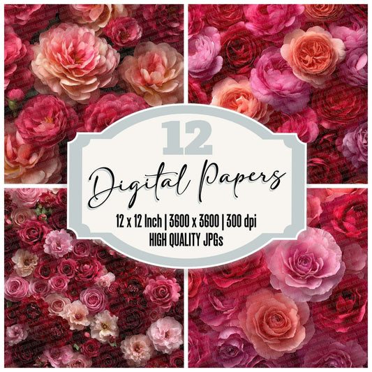 Rose Bloom Overhead Fill Digital Paper Pack (DDD003260)