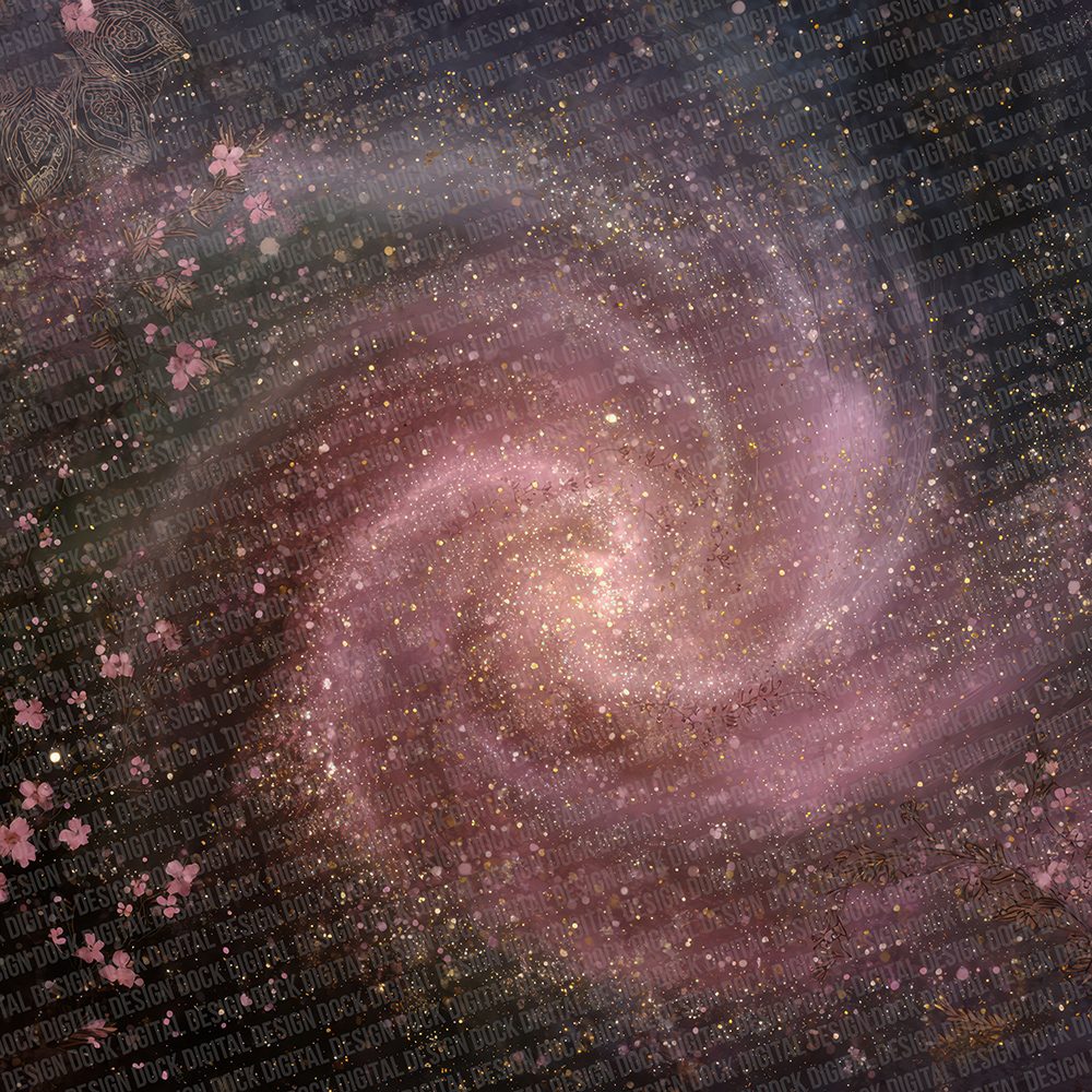 Rose Galaxy Lace Digital Paper Pack (DDD007719)