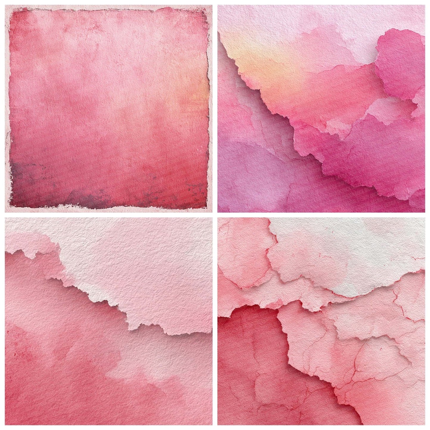 Rose Wash Fade Digital Paper Pack (DDD003285)