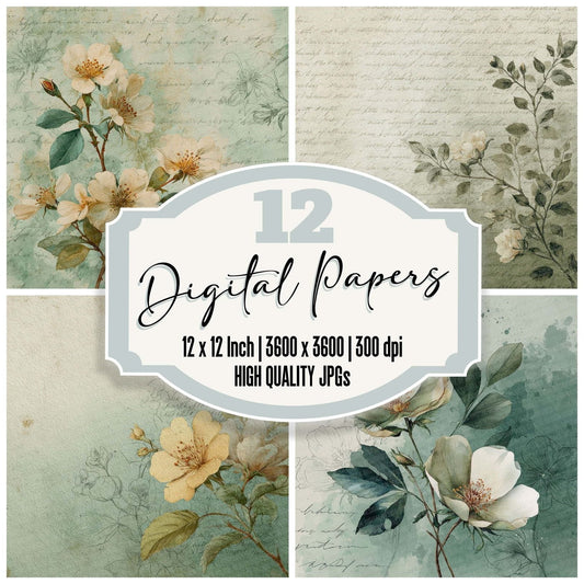 Sage Botanical Script Digital Paper Pack (DDD003338)