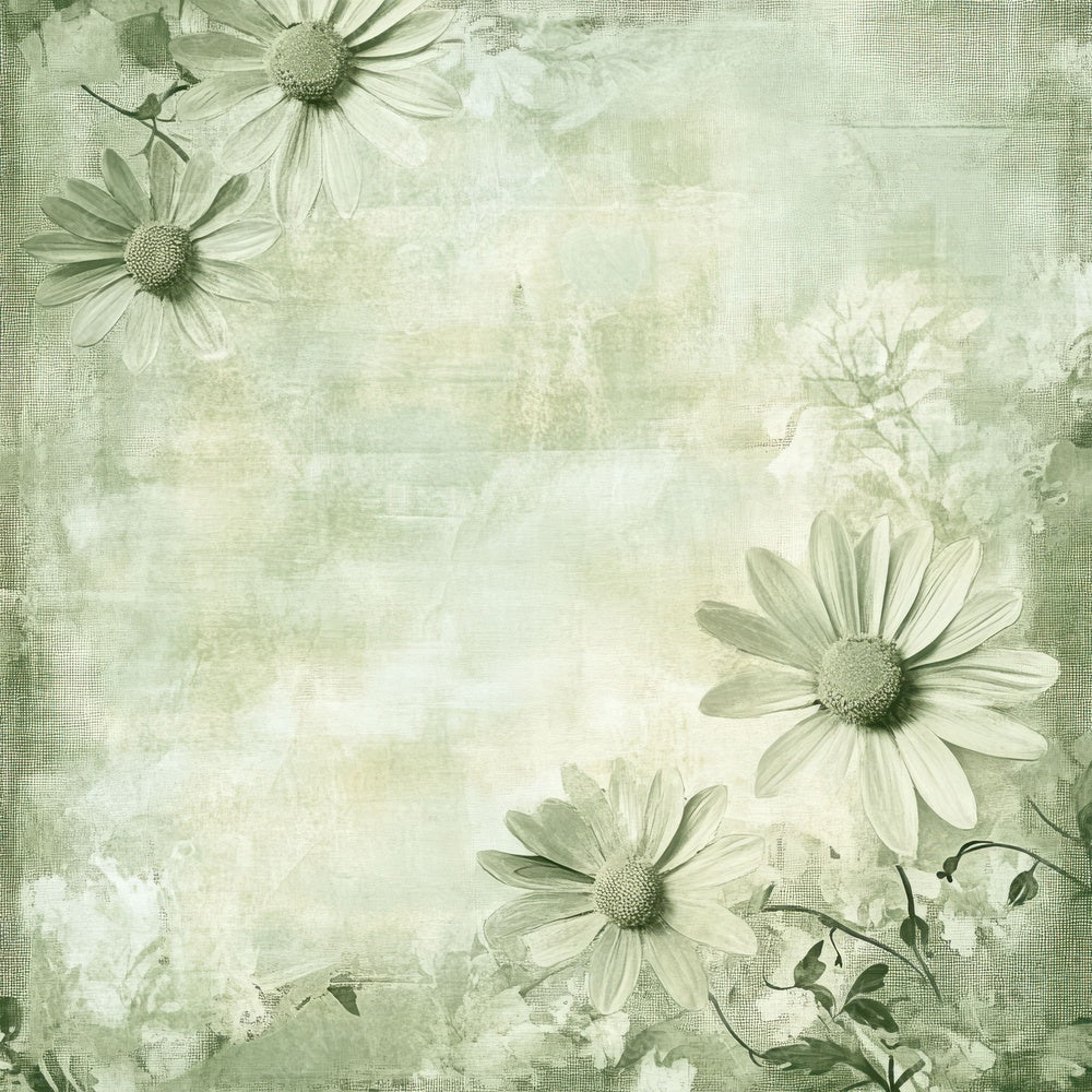 Sage Daisy Outline Digital Paper Pack (DDD003342)