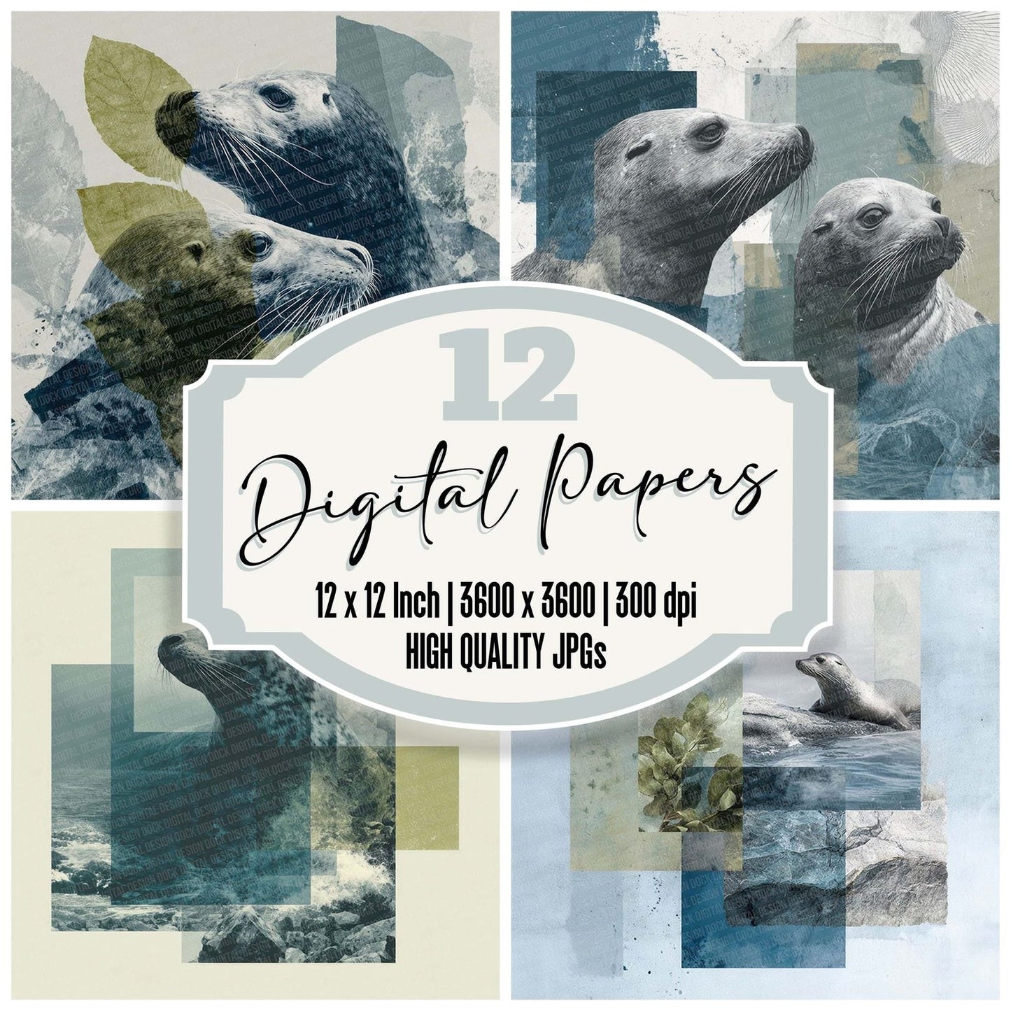 Sea Lion Coast Moodboard Digital Paper Pack (DDD003426)