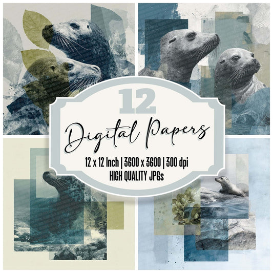 Sea Lion Coast Moodboard Digital Paper Pack (DDD003426)