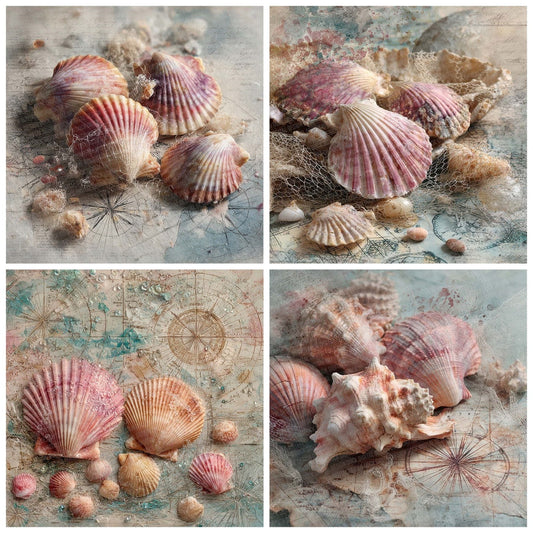 Seashell Compass Foam Digital Paper Pack (DDD007724)