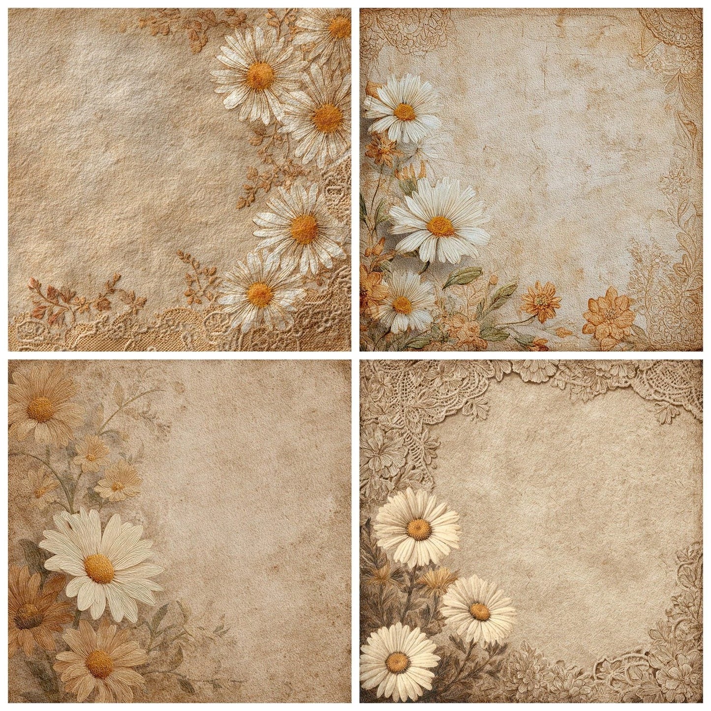 Sepia Lace Daisy Digital Paper Pack (DDD007726)