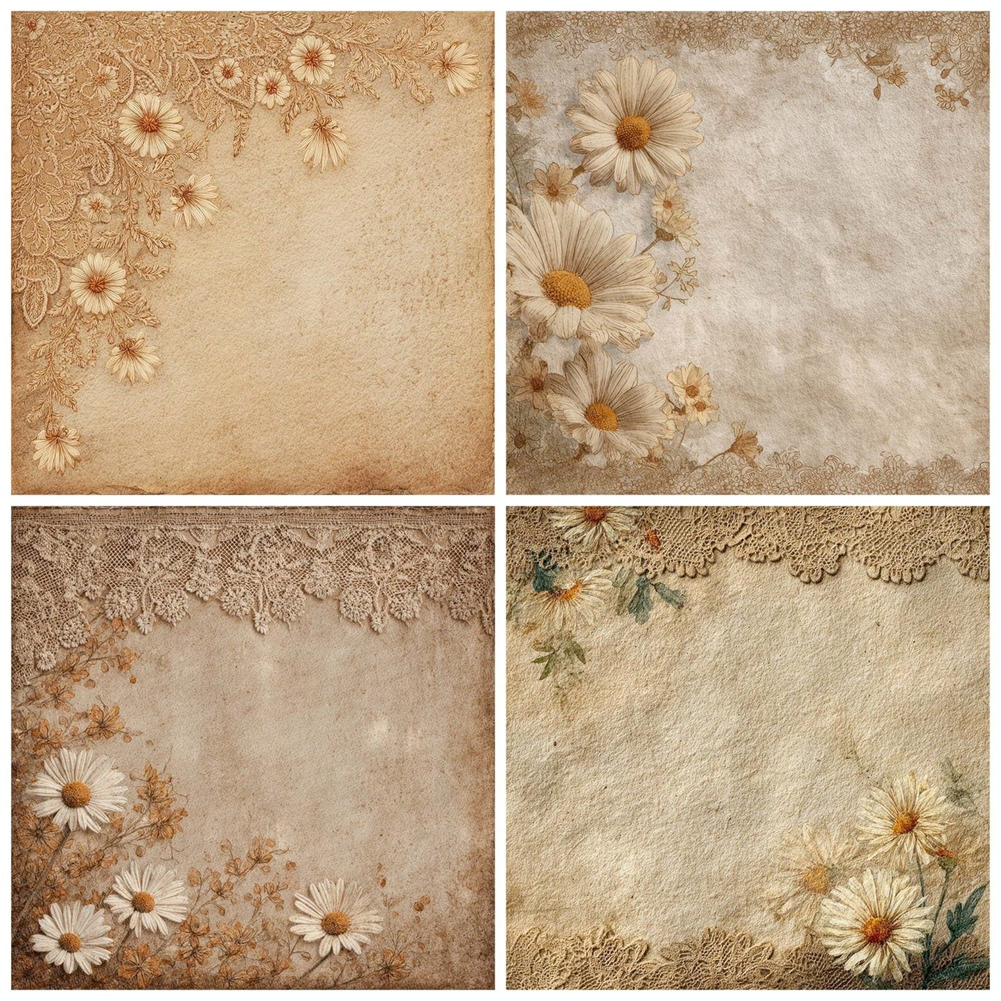 Sepia Lace Daisy Digital Paper Pack (DDD007726)