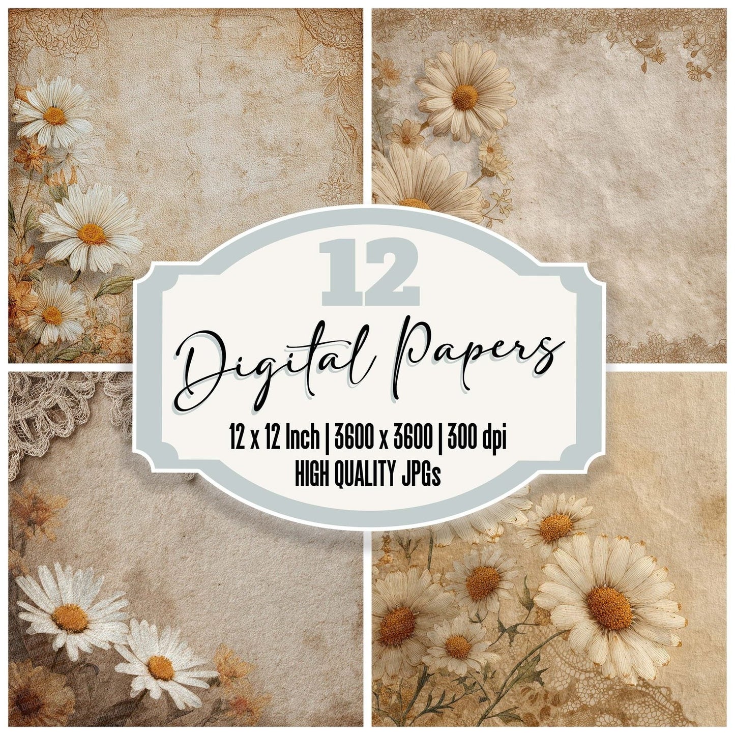 Sepia Lace Daisy Digital Paper Pack (DDD007726)