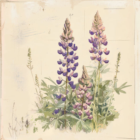 Sketch Lupine Notepad Digital Paper Pack (DDD003608)