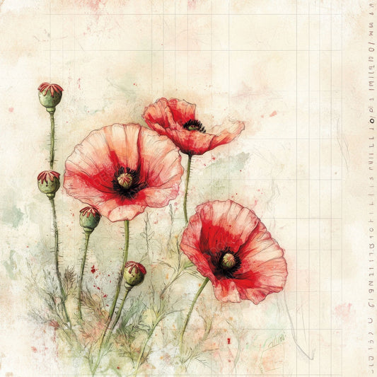 Sketch Poppy Colour Digital Paper Pack (DDD003644)