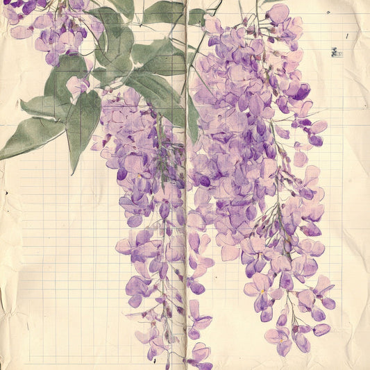 Sketch Wisteria Notepad Digital Paper Pack (DDD003707)