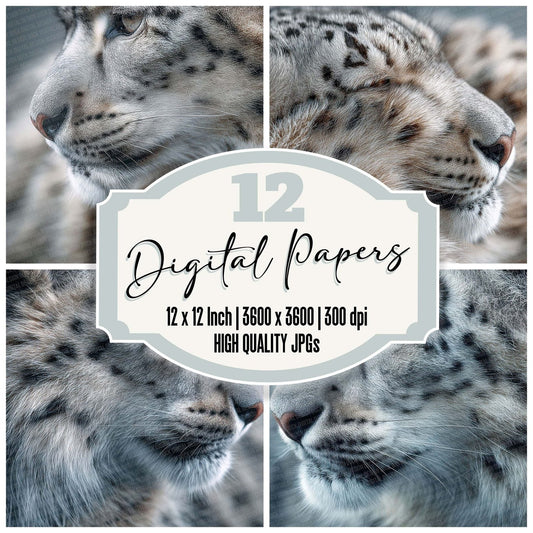 SnowLeopard Fur Macro Digital Paper Pack (DDD003741)