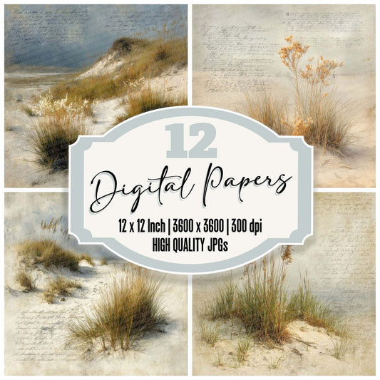 Soft Dune Field Notes Digital Paper Pack (DDD003750)