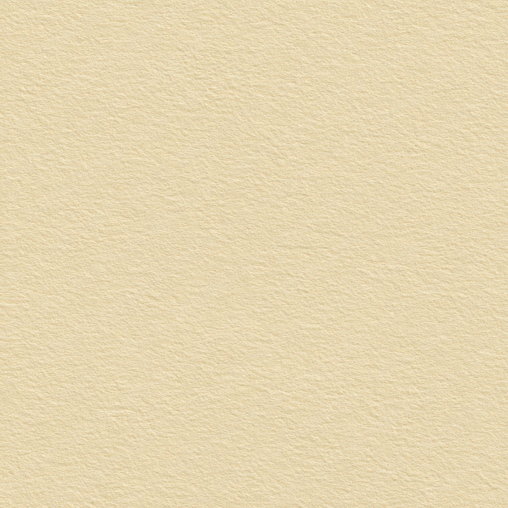 Soft Ivory Paper Digital Paper Pack (DDD008805)