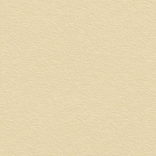 Soft Ivory Paper Digital Paper Pack (DDD008805)