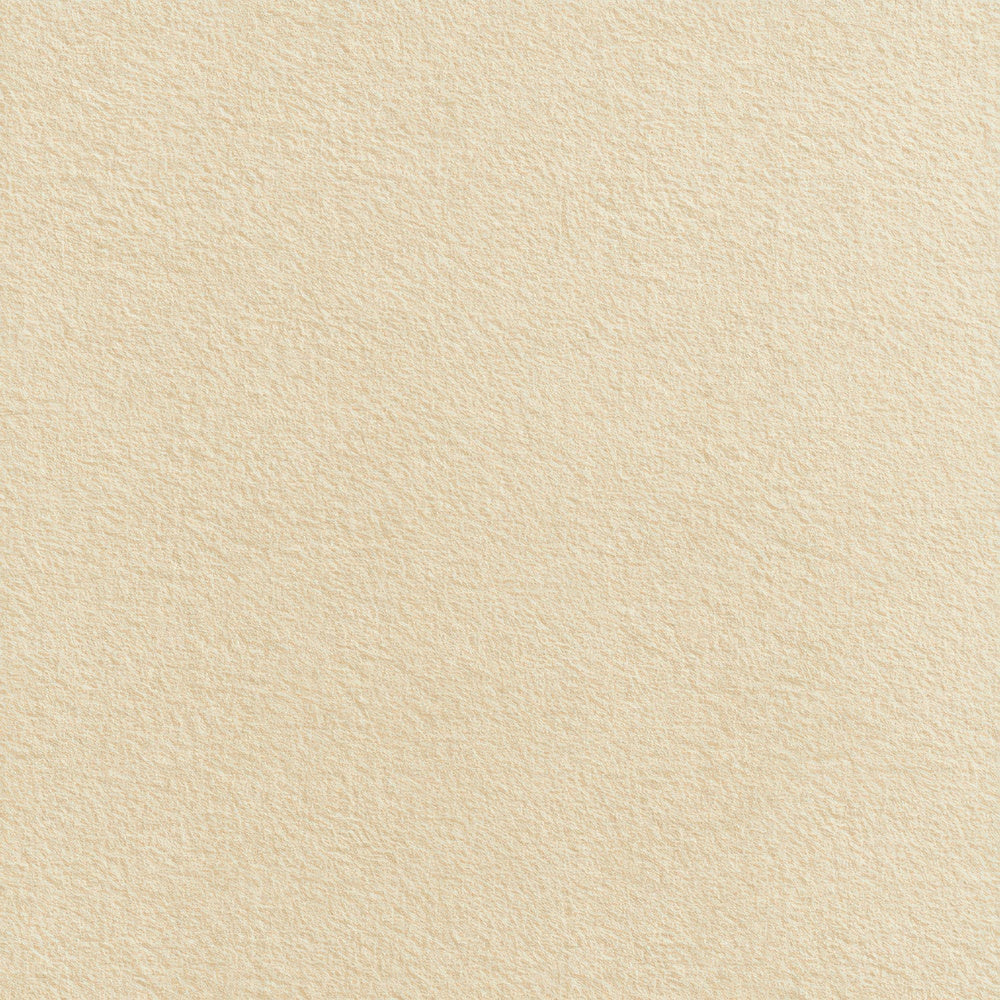 Soft Ivory Paper Digital Paper Pack (DDD008805)