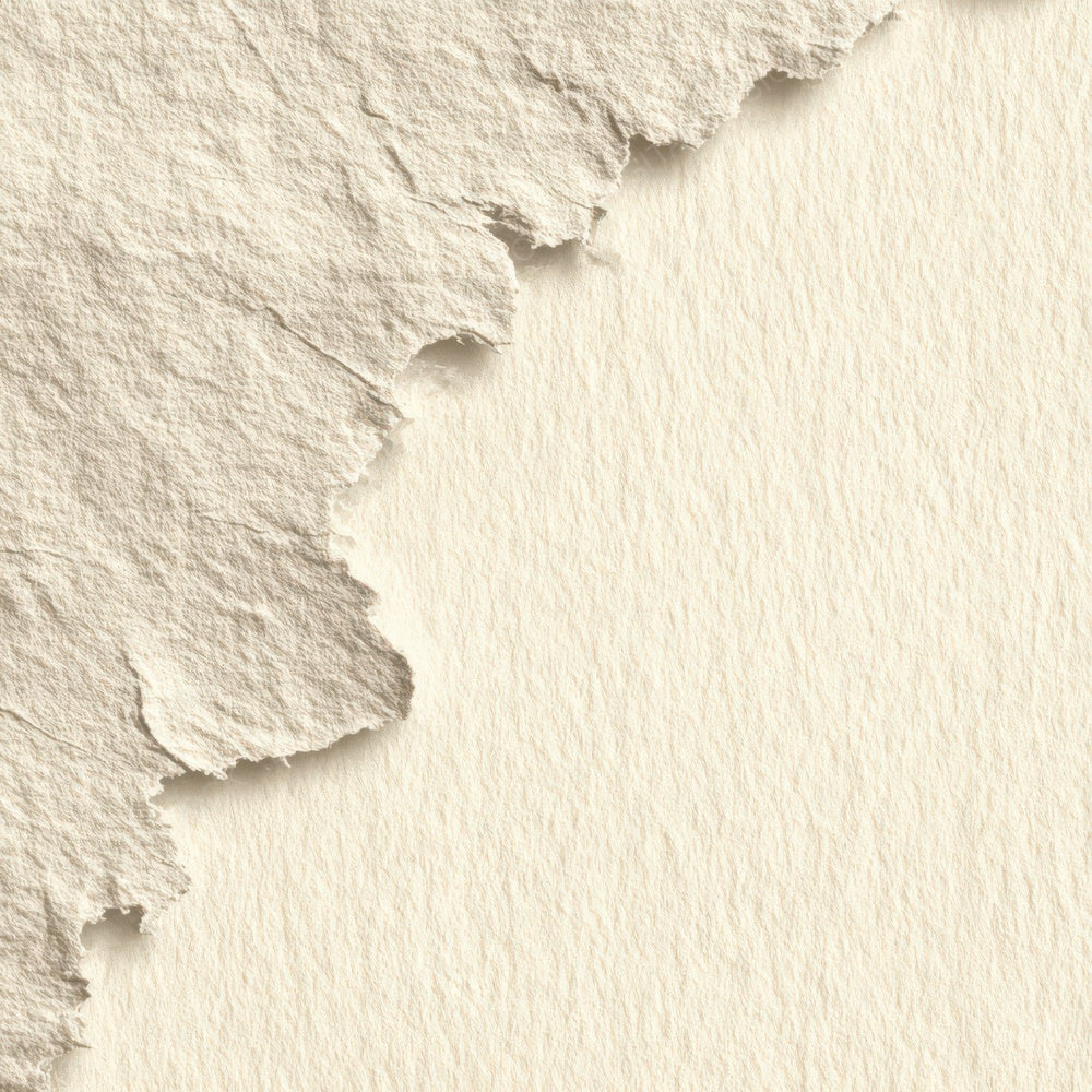 Soft Torn Cream Paper Digital Paper Pack (DDD008823)