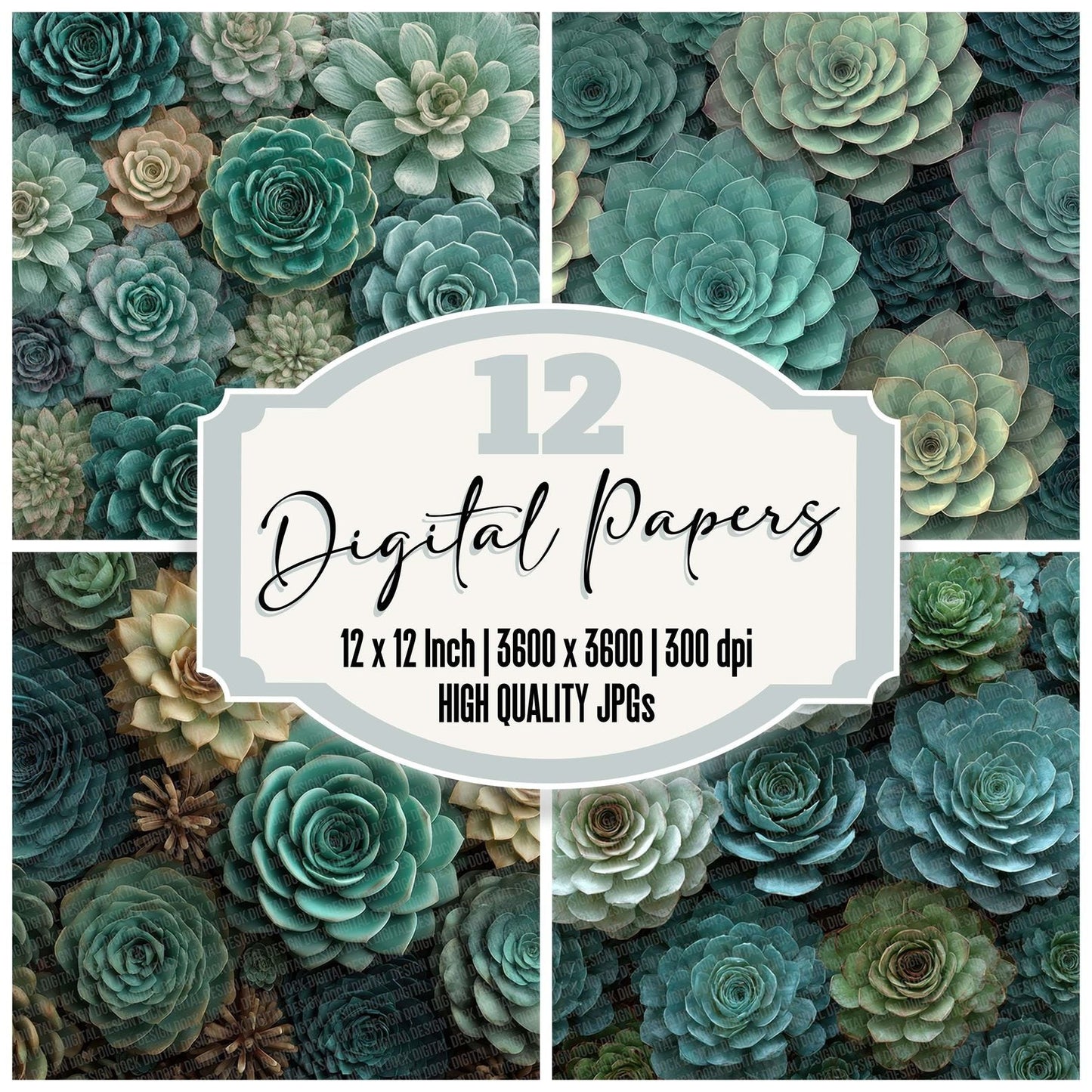Succulent Overhead Fill Digital Paper Pack (DDD003887)