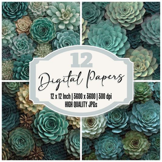 Succulent Overhead Fill Digital Paper Pack (DDD003887)