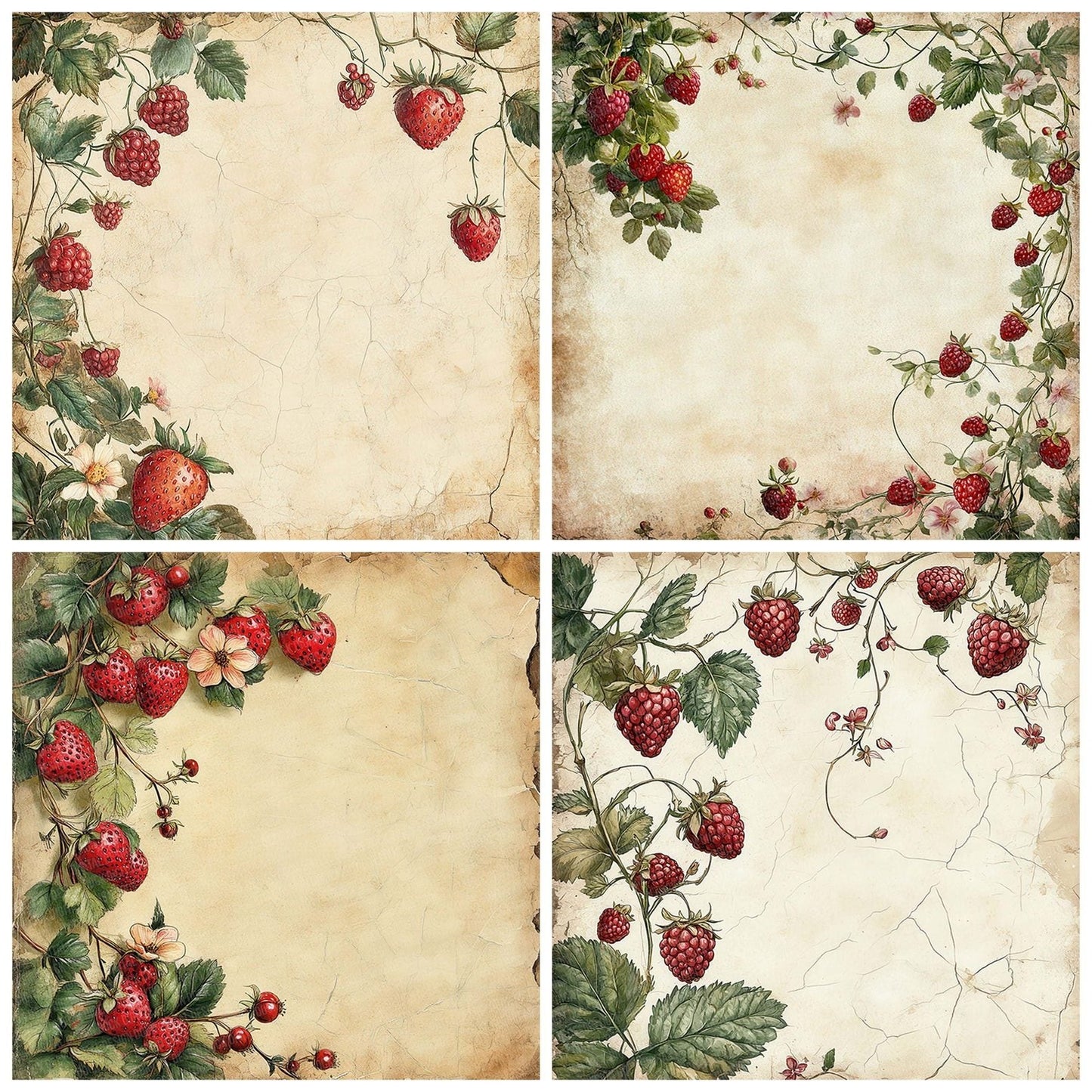 Summer Berry Border Digital Paper Pack (DDD003890)