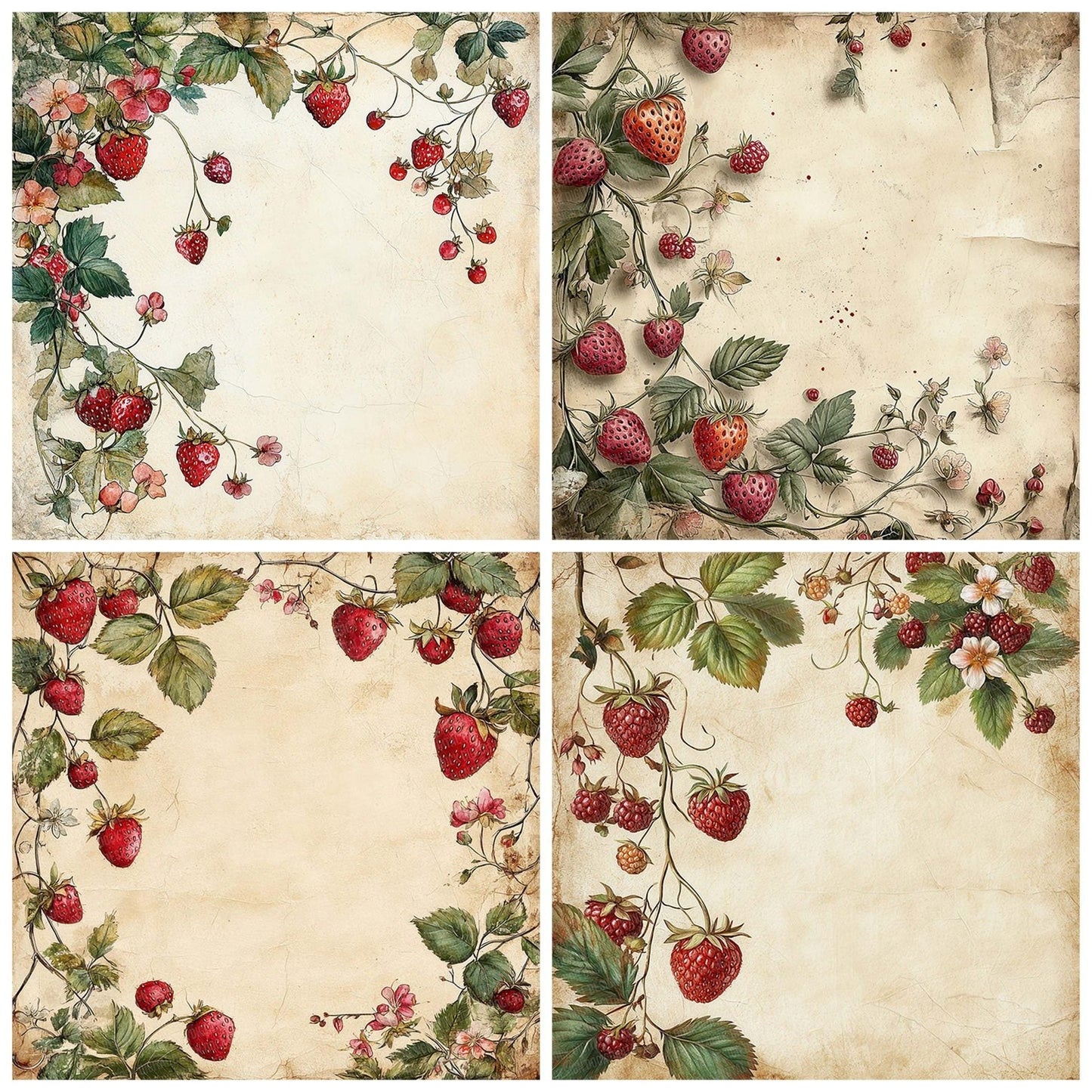 Summer Berry Border Digital Paper Pack (DDD003890)