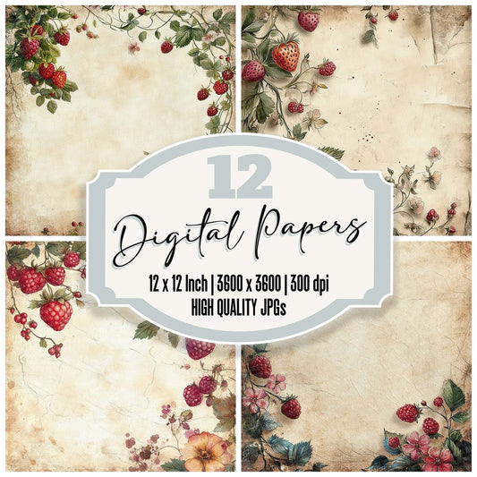 Summer Berry Border Digital Paper Pack (DDD003890)
