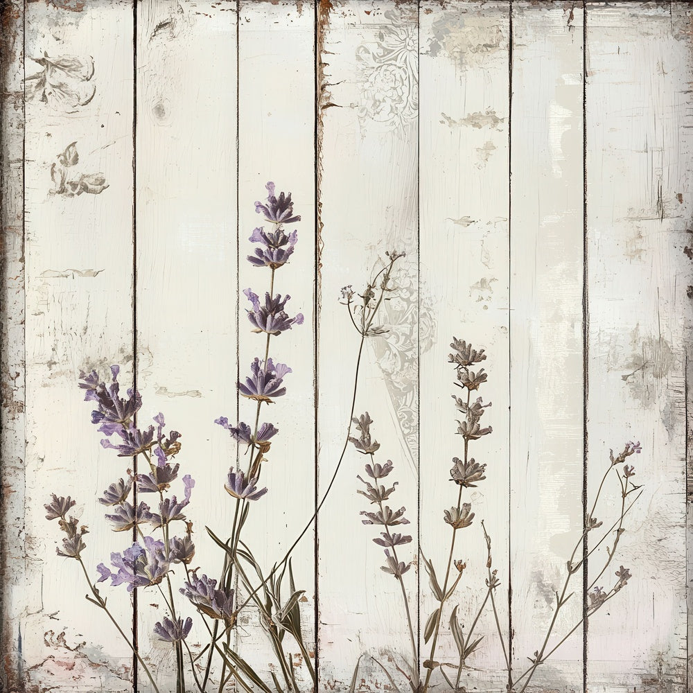 Sunbleached Botanica Panel Digital Paper Pack (DDD003895)