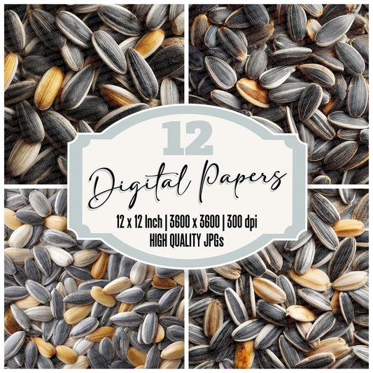 SunflowerSeed Overhead Fill Digital Paper Pack (DDD003901)