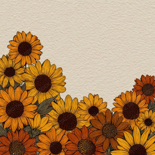 Sunflower Floral Border Digital Paper Pack (DDD007883)