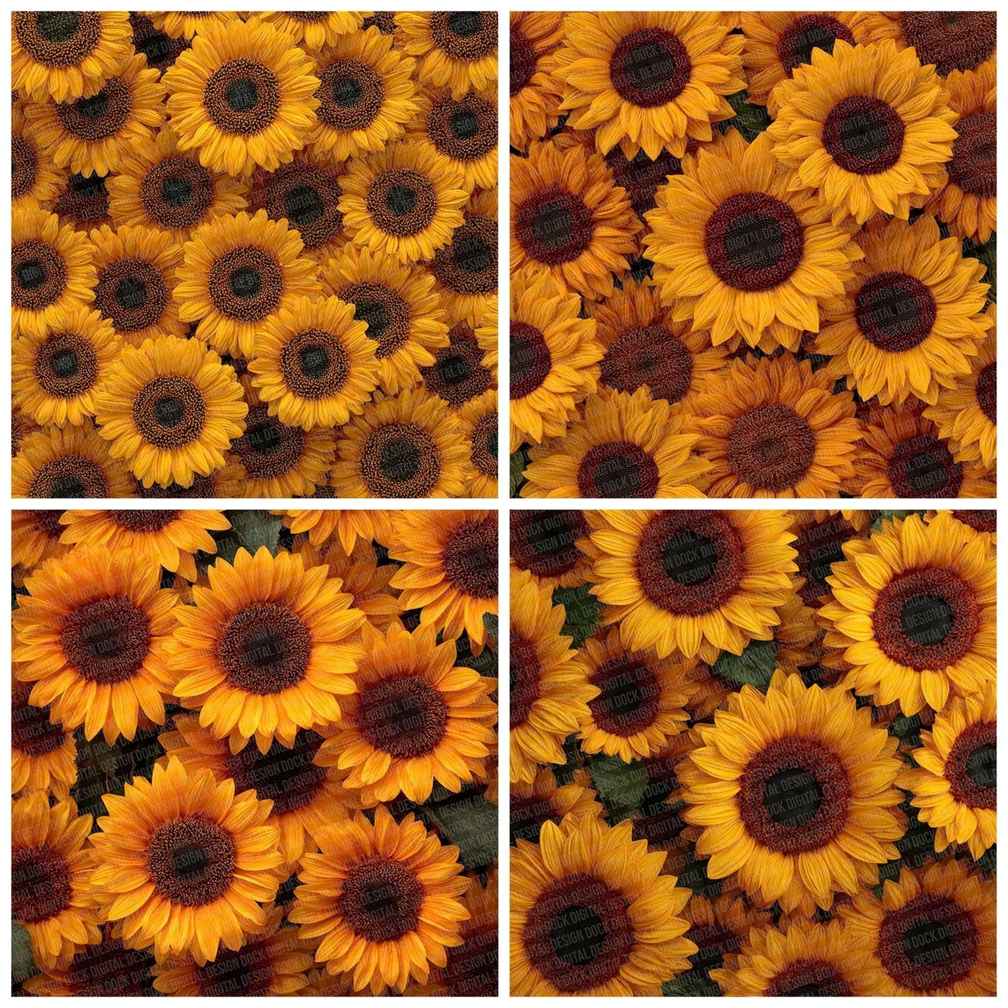 Sunflower Overhead Fill Digital Paper Pack (DDD003899)