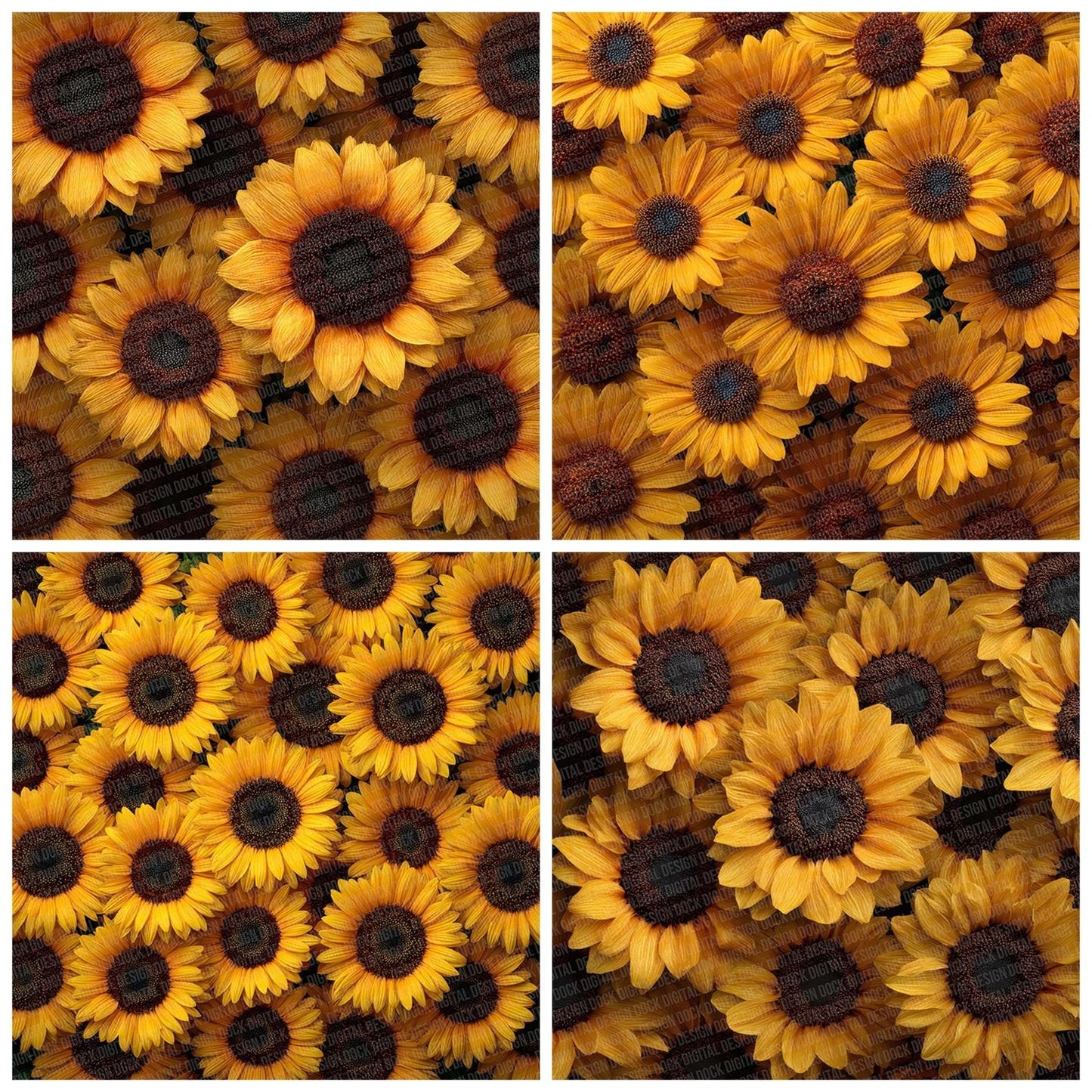 Sunflower Overhead Fill Digital Paper Pack (DDD003899)