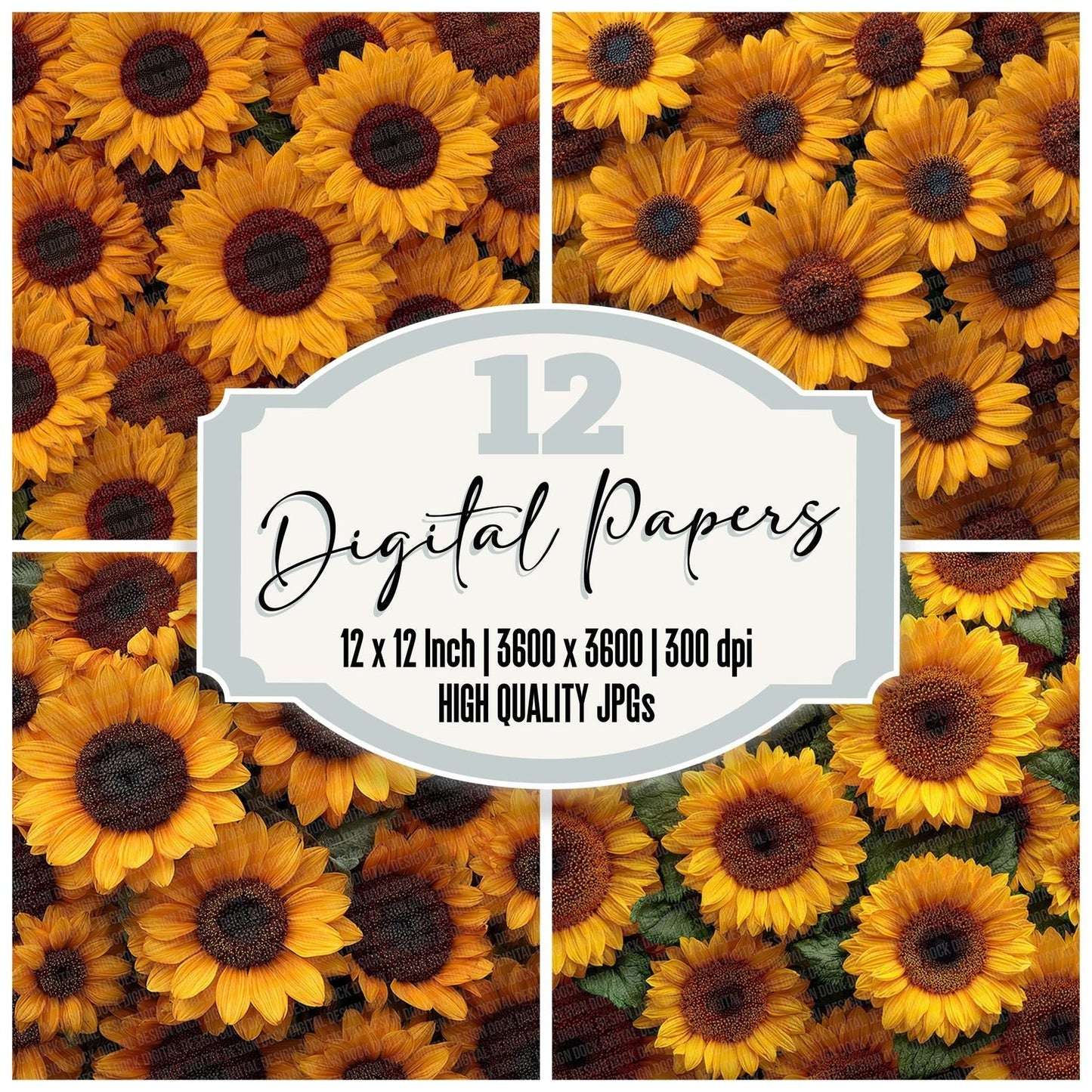 Sunflower Overhead Fill Digital Paper Pack (DDD003899)