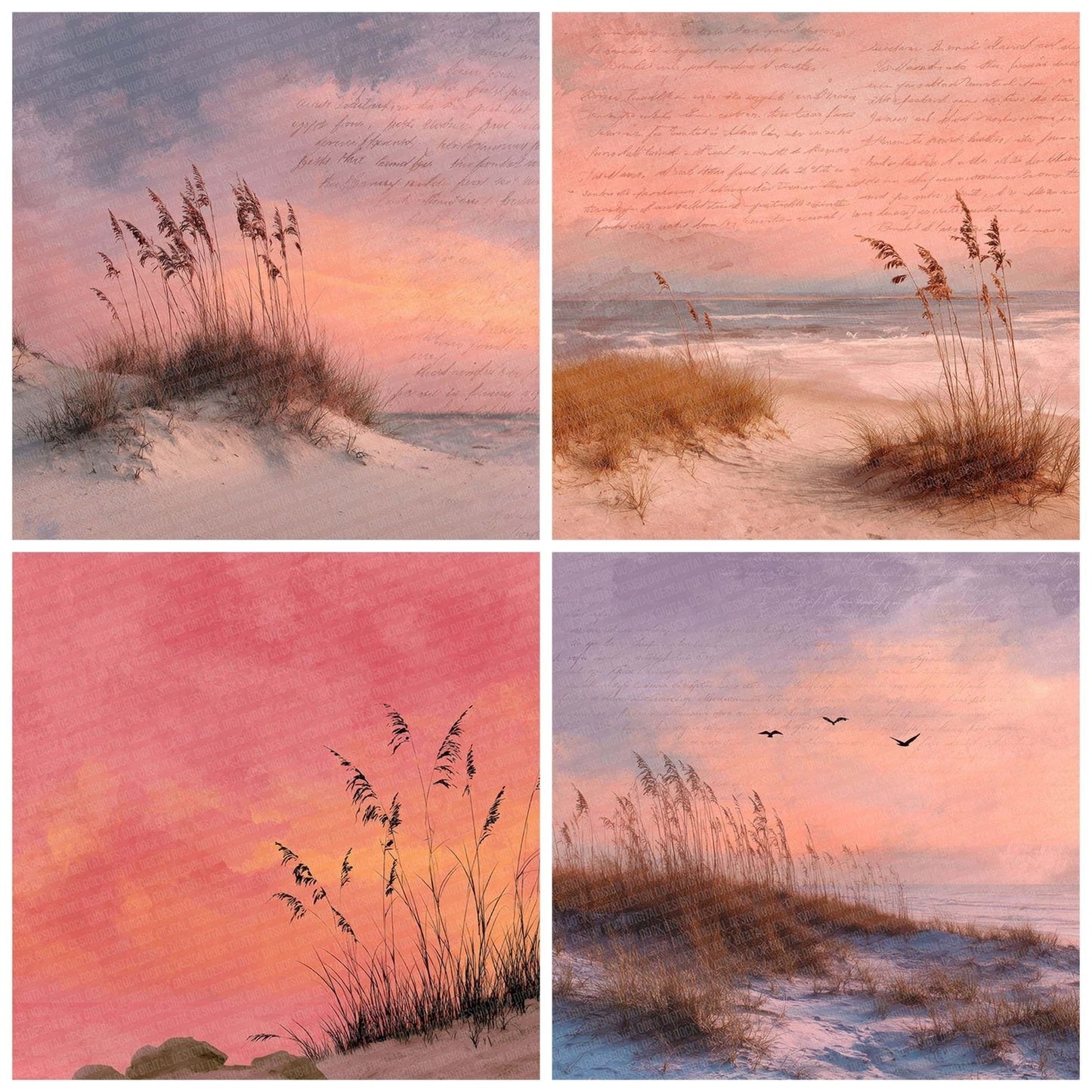 Sunset Dune Script Grass Digital Paper Pack (DDD003908)