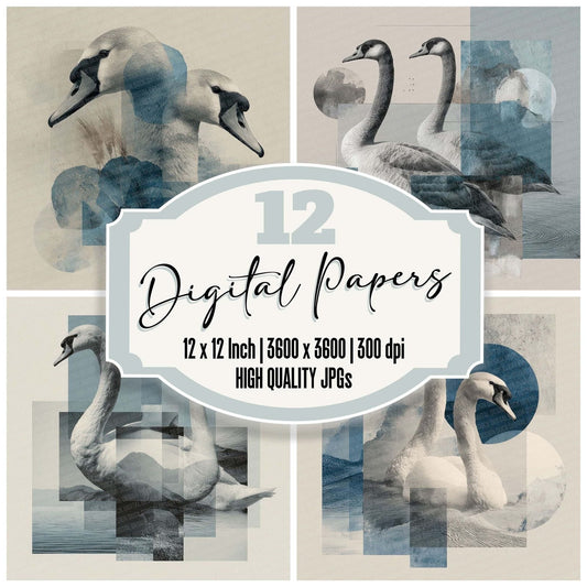 Swan Lake Moodboard Digital Paper Pack (DDD003921)
