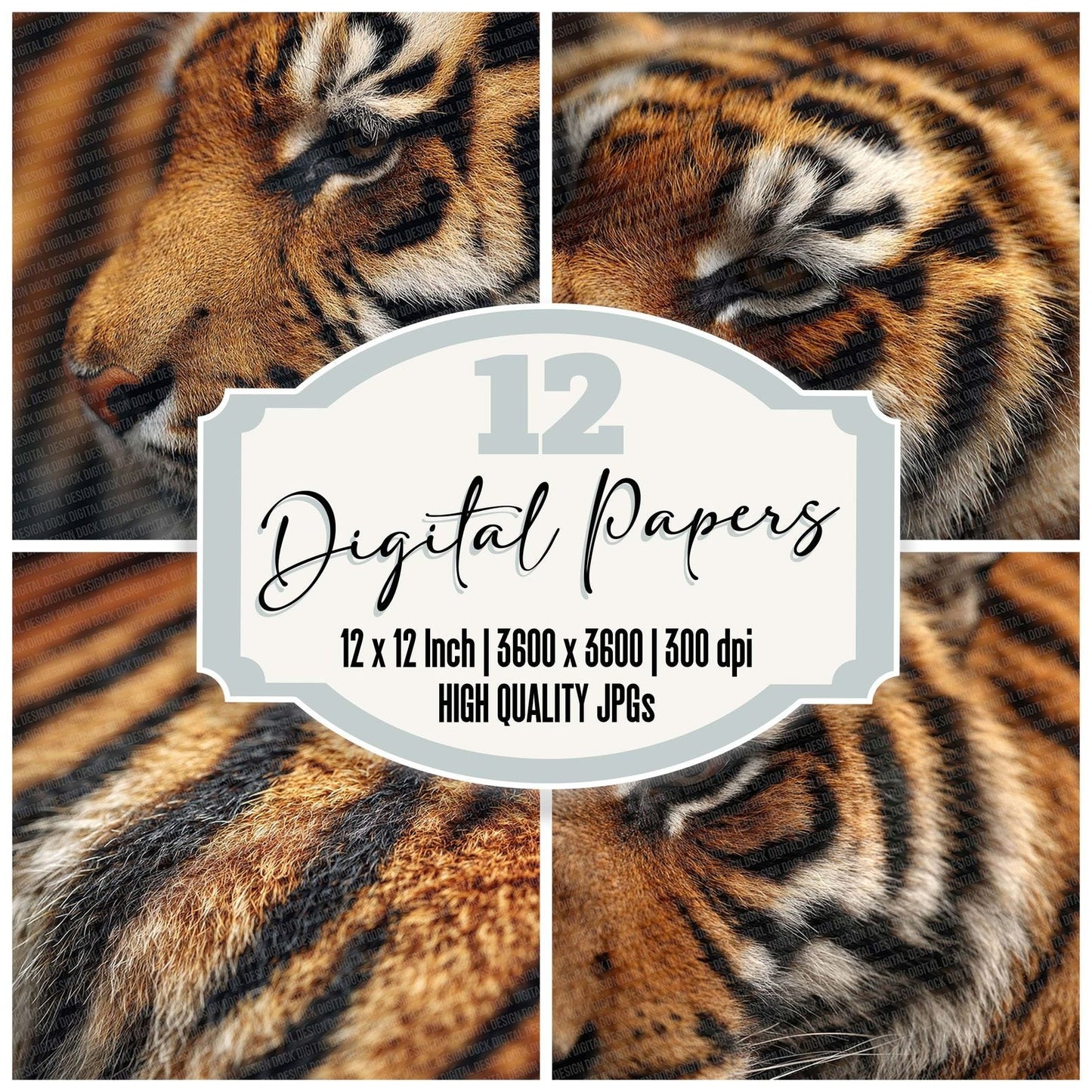 Tiger Fur Macro Digital Paper Pack (DDD004011)