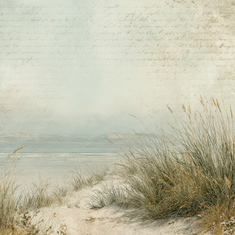 Vintage Coastal Dune Grass Scene Digital Paper Pack (DDD012214)
