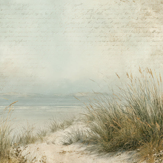 Vintage Coastal Dune Grass Scene Digital Paper Pack (DDD012214)
