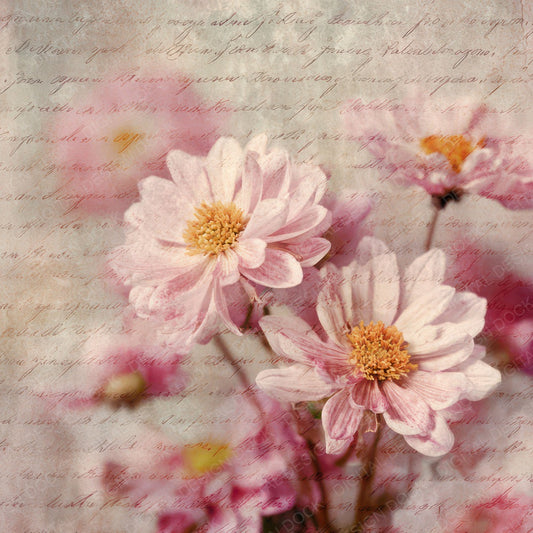 Vintage Floral Script Digital Paper Pack (DDD008825)