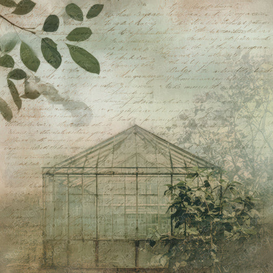 Vintage Greenhouse Script Paper Digital Paper Pack (DDD008842)