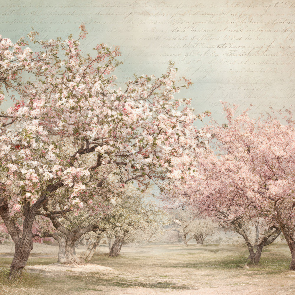 Vintage Orchard Blossom Scene Digital Paper Pack (DDD012220)