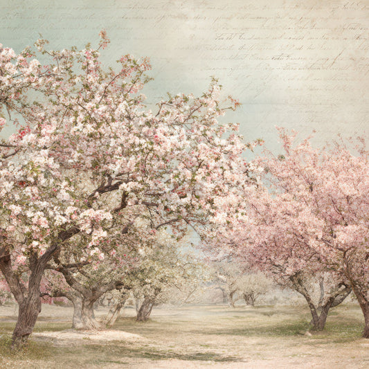 Vintage Orchard Blossom Scene Digital Paper Pack (DDD012220)