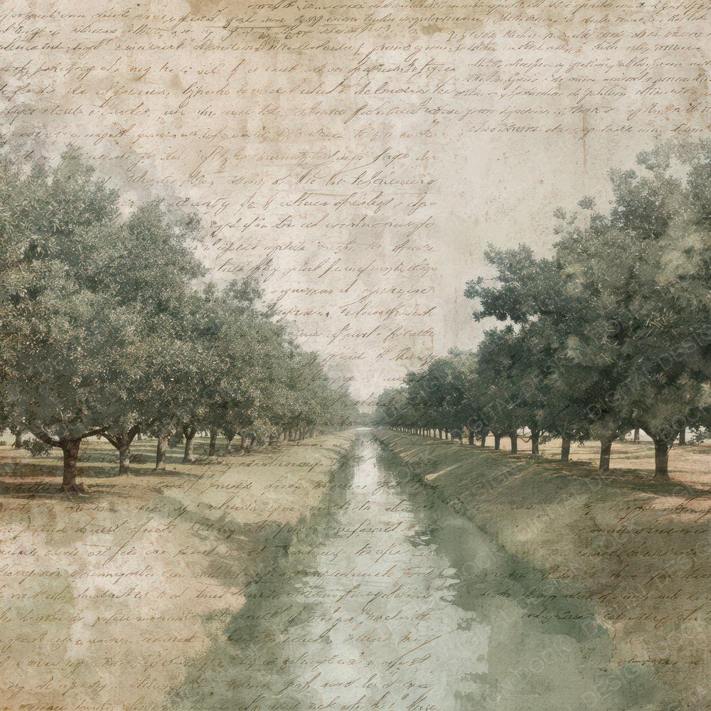 Vintage Orchard Irrigation Channel Scene Digital Paper Pack (DDD012302)