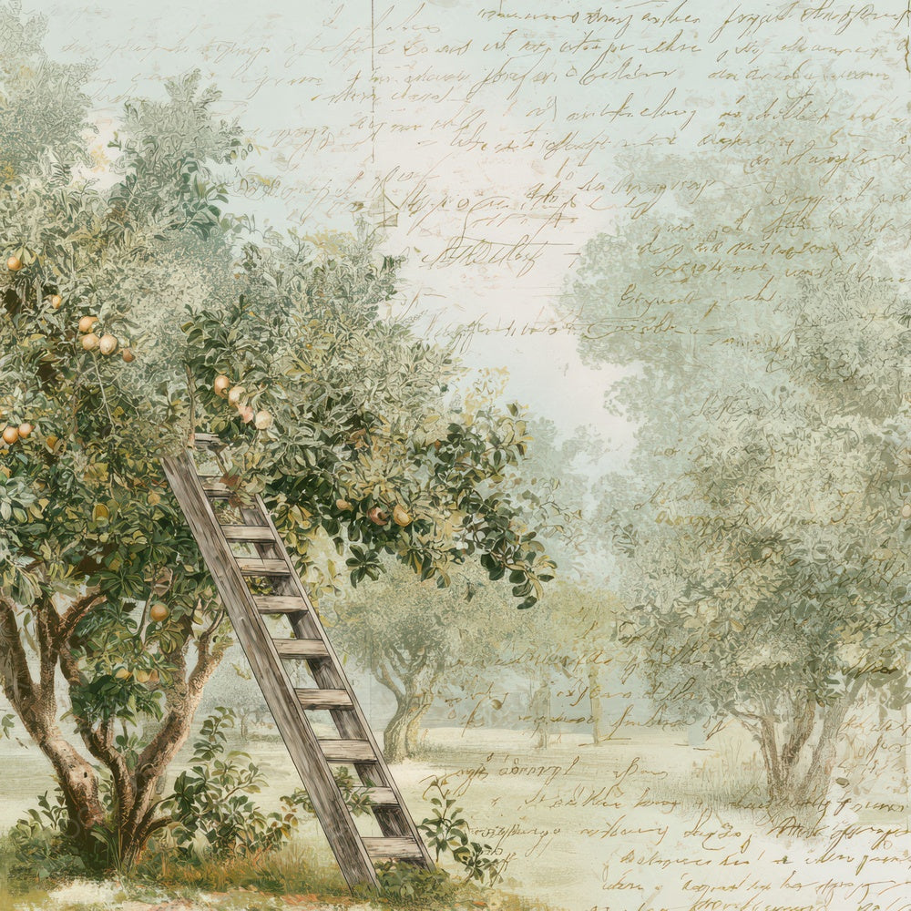 Vintage Orchard Ladder Scene Digital Paper Pack (DDD012221)