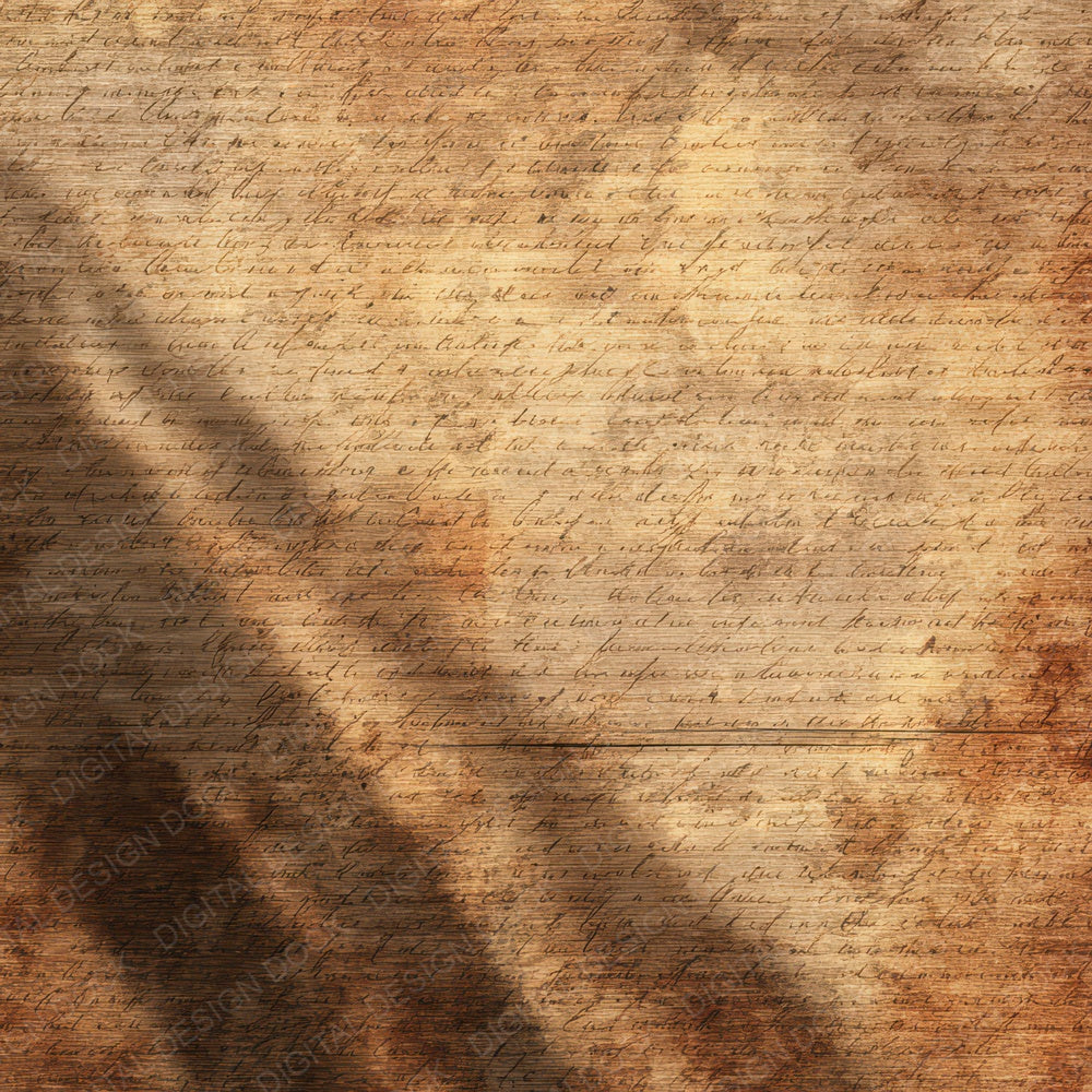 Vintage Sunlit Wood Texture Digital Paper Pack (DDD012341)